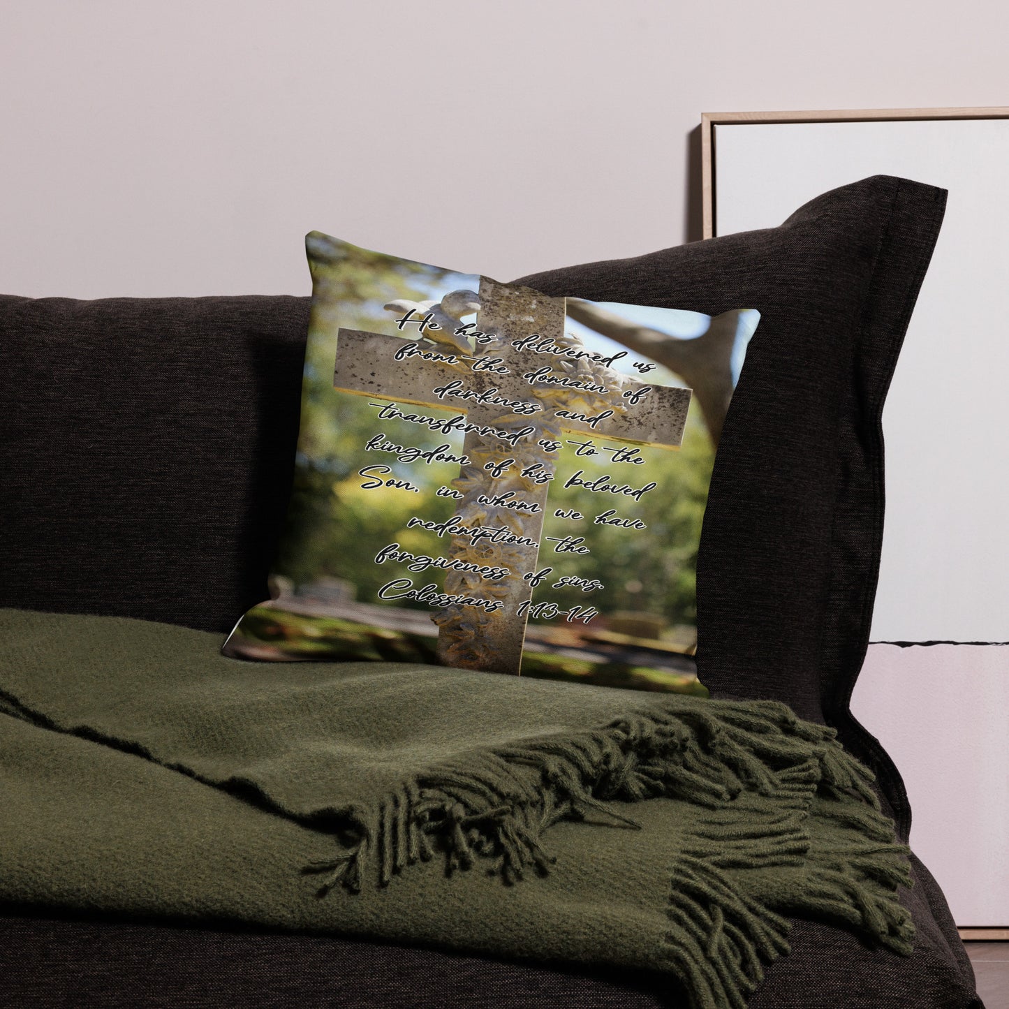 Colossians 1:13-14 Premium Pillow