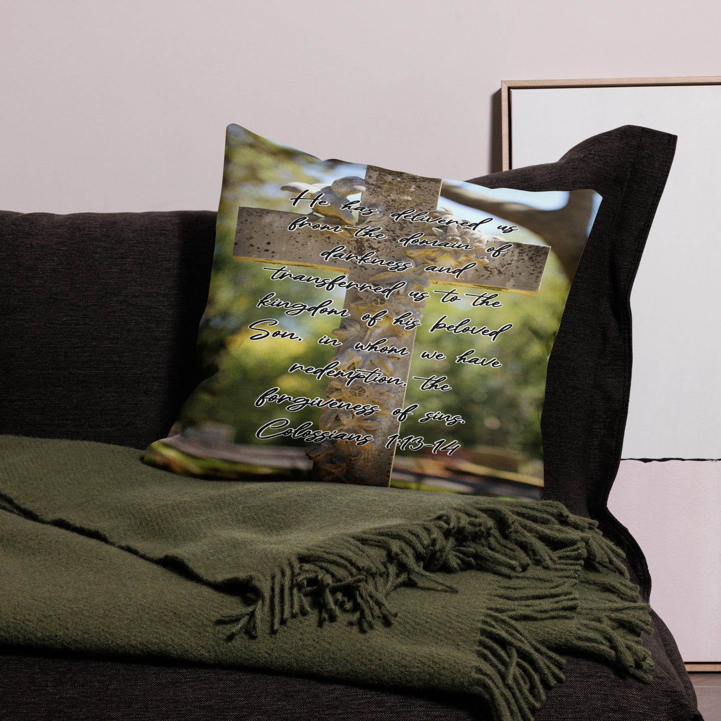 Colossians 1:13-14 Premium Pillow